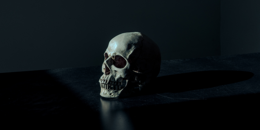 Billede af et skelet hoved fra et menneske